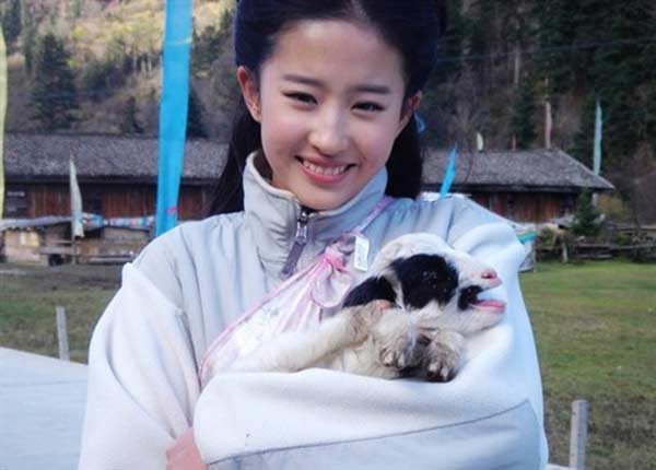 Liu Yifei HD Images/Photo Gallery Download #6668383