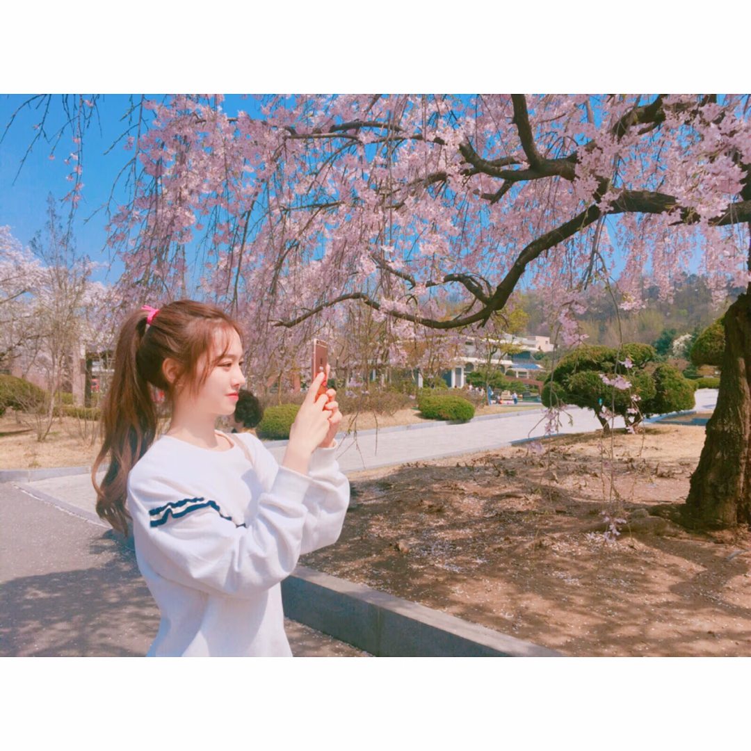 Se-Yeon Jin HD Images/Photo Gallery Download #3422685