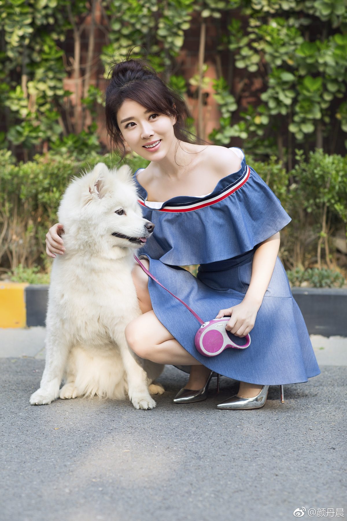 Danchen Yan HD Images/Photo Gallery Download #945192