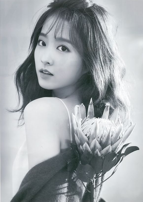 Park Bo-young HD Images/Photo Gallery Download #1874539