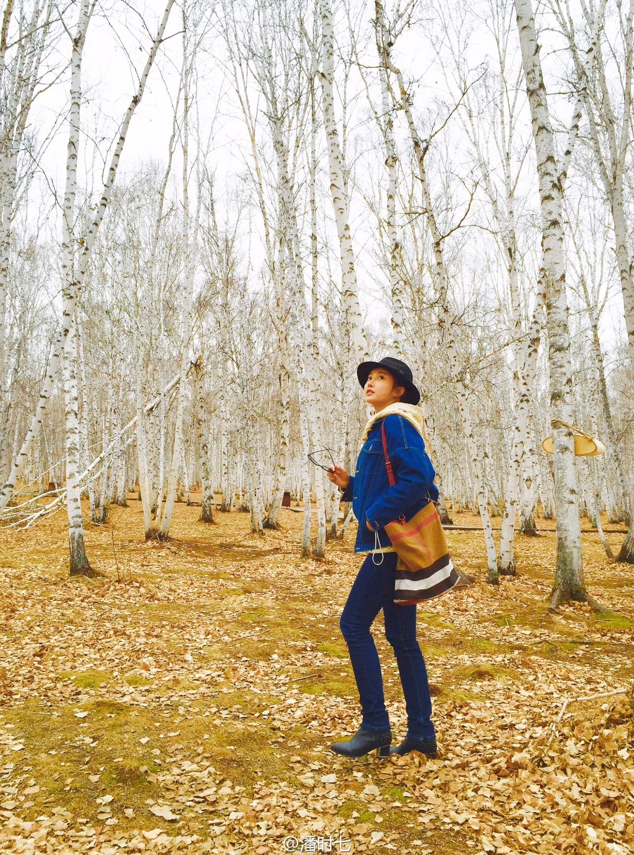 Sookie Pan HD Images/Photo Gallery Download #2132825