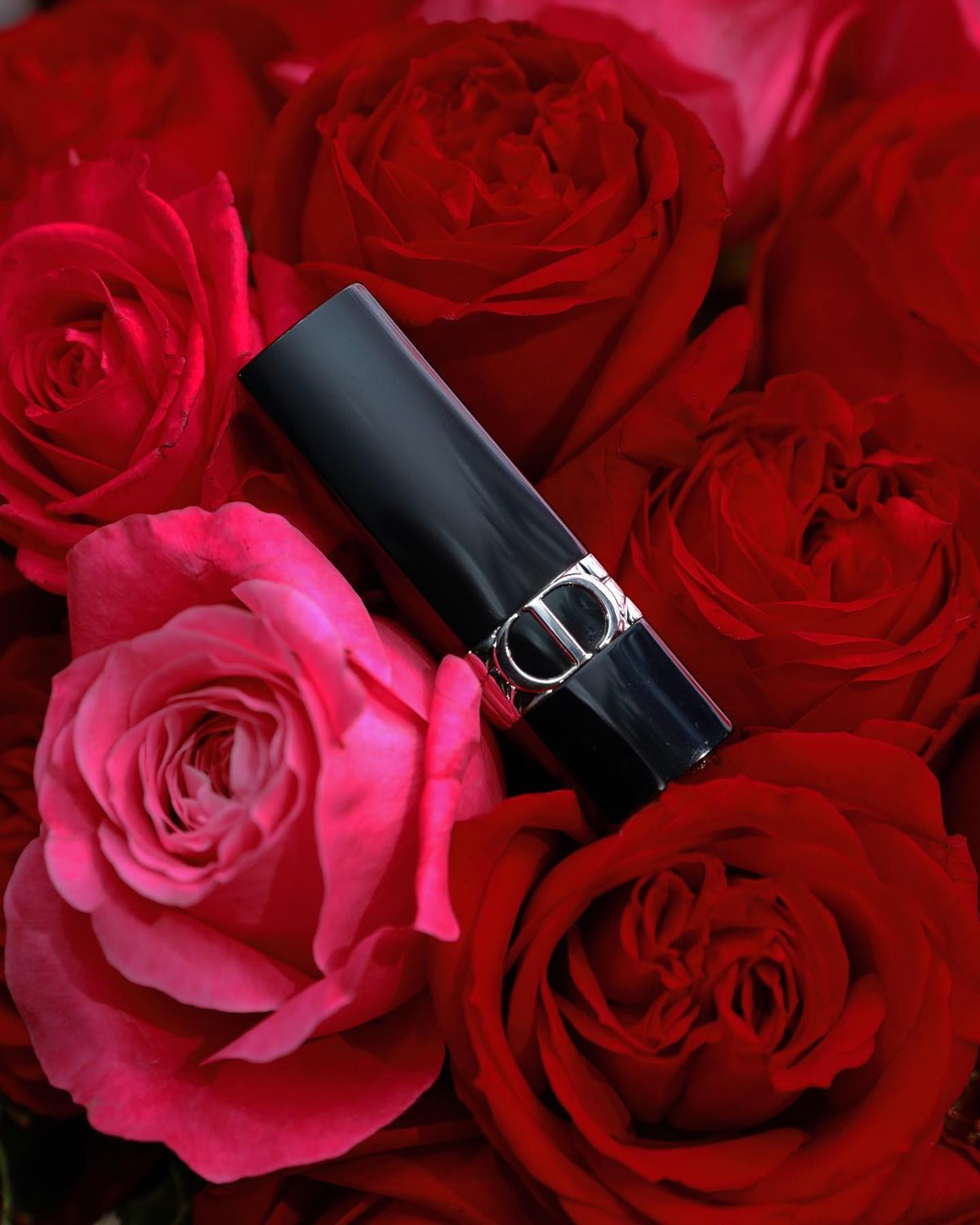 三吉彩花 高清写真/照片下载 #7486735