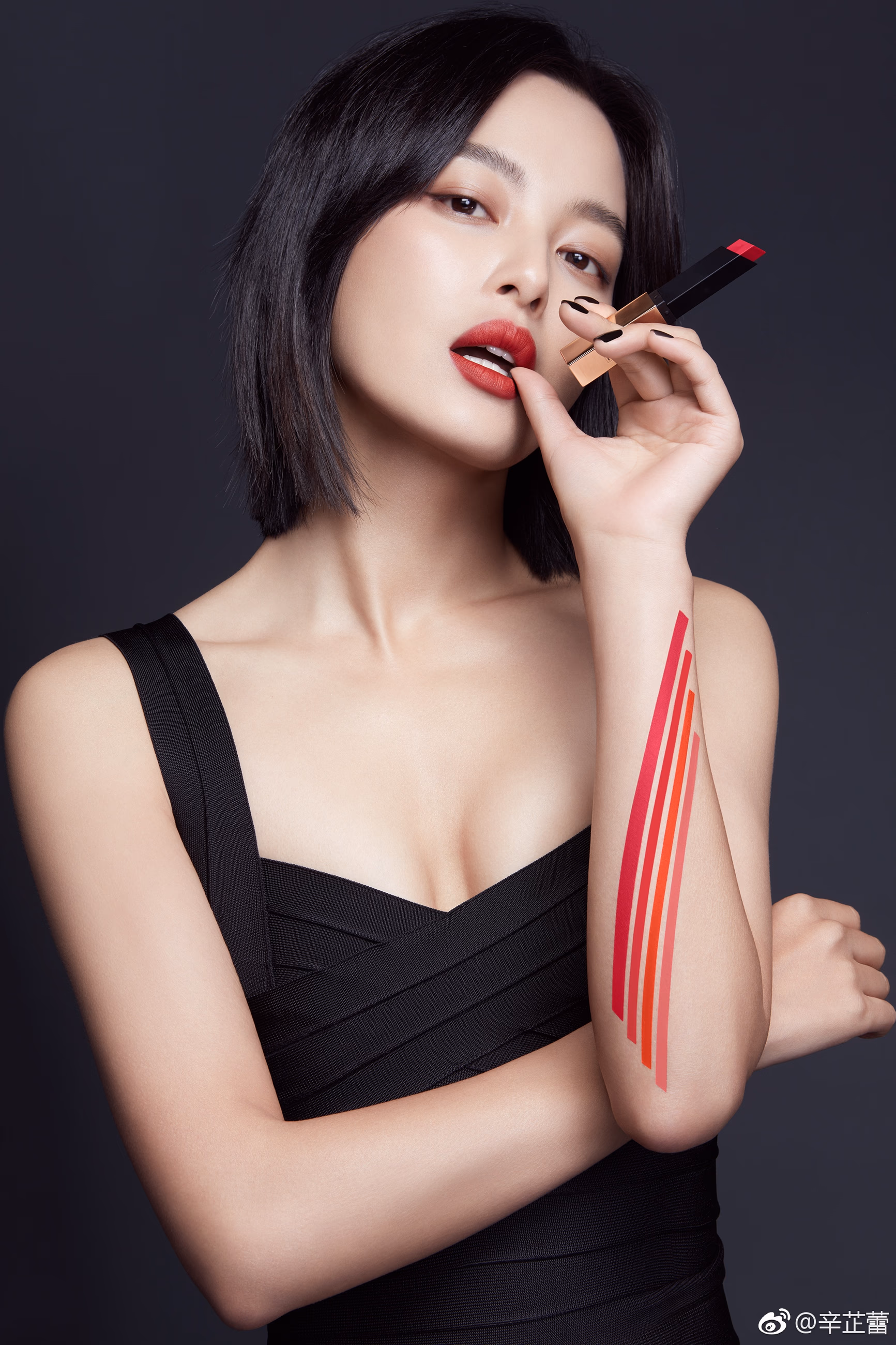 辛芷蕾 高清写真/照片下载 #3446030