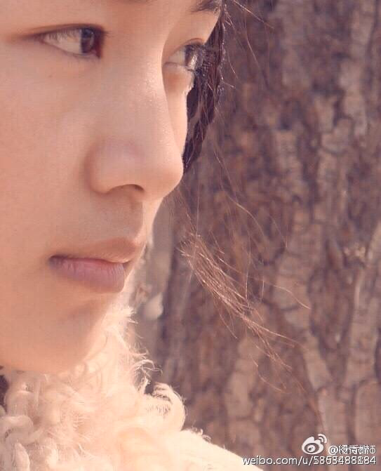 杨秀措 高清写真/照片下载 #3478727