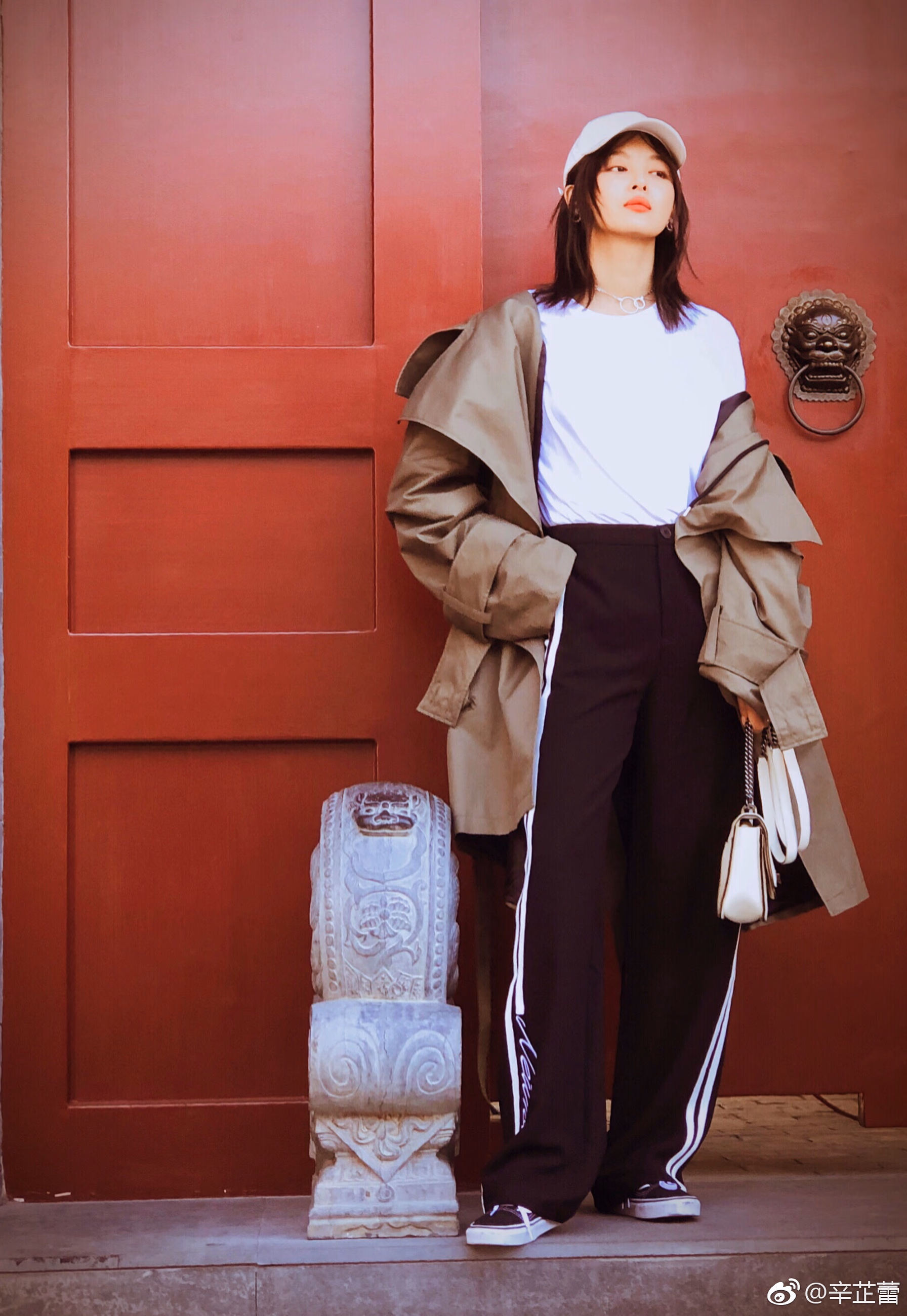 辛芷蕾 高清写真/照片下载 #3468783