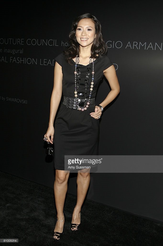 Ziyi Zhang HD Images/Photo Gallery Download #1045304