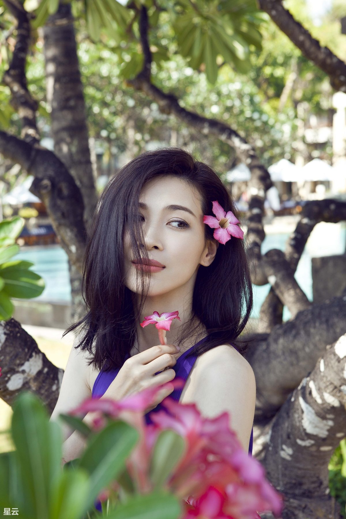 Lei Tong HD Images/Photo Gallery Download #6996428