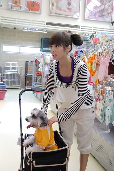Rainie Yang HD Images/Photo Gallery Download #7195310