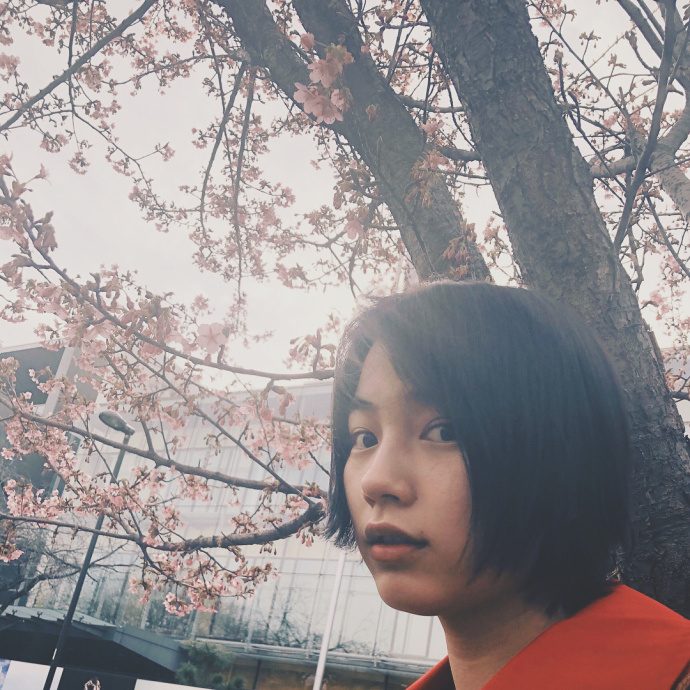 能年玲奈 HD画像/フォトギャラリーダウンロード #3270280