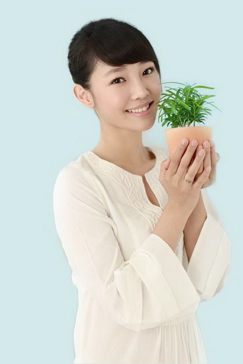 Baihe Bai HD Images/Photo Gallery Download #6976887