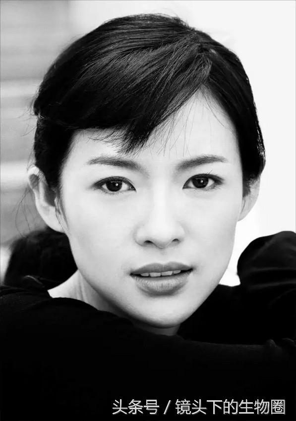 Ziyi Zhang HD Images/Photo Gallery Download #1038872
