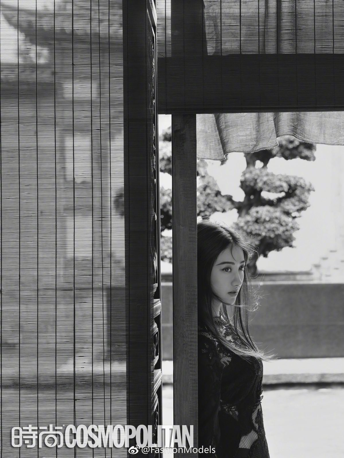 Tian Jing HD Images/Photo Gallery Download #6682013