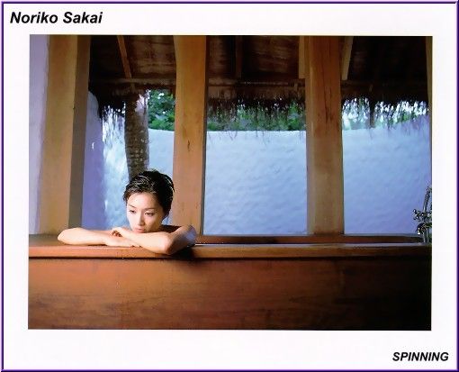 Noriko Sakai HD Images/Photo Gallery Download #9681792