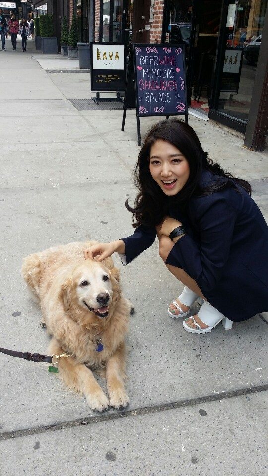 Shin-hye Park HD Images/Photo Gallery Download #1755005