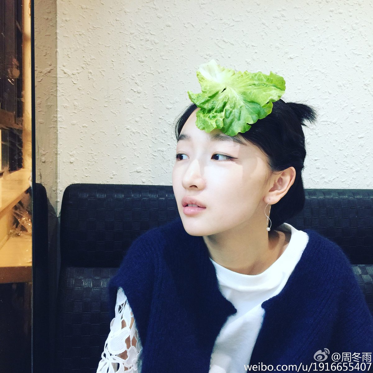 Dongyu Zhou HD Images/Photo Gallery Download #1908736