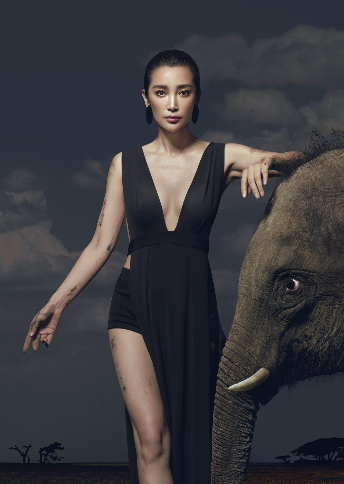 Bingbing Li HD Images/Photo Gallery Download #1427489