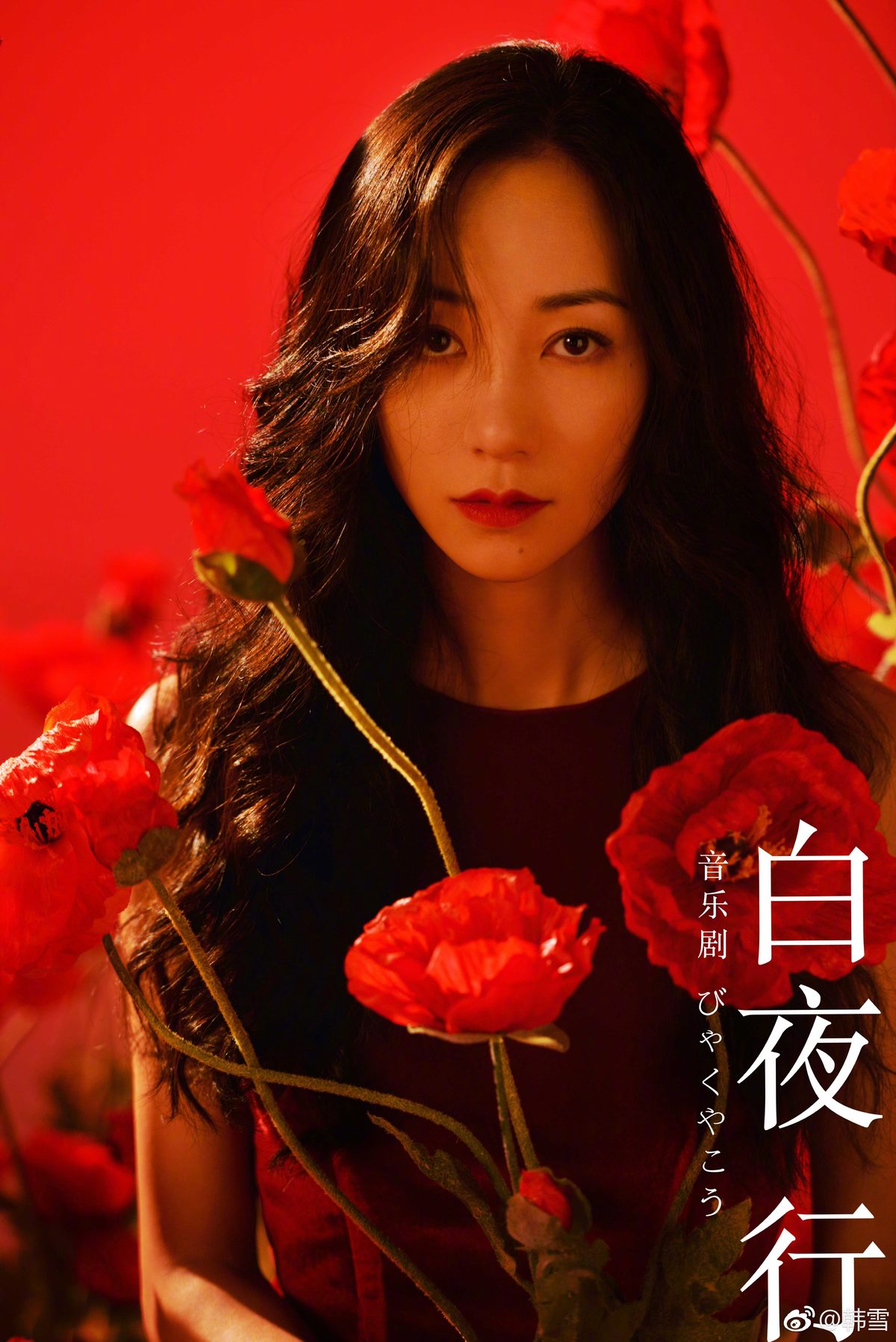 Cecilia Han HD Images/Photo Gallery Download #6655543
