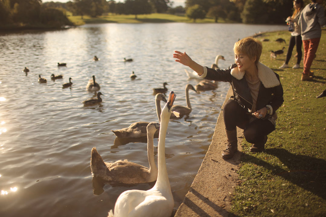 Weiwei Tan HD Images/Photo Gallery Download #3495080