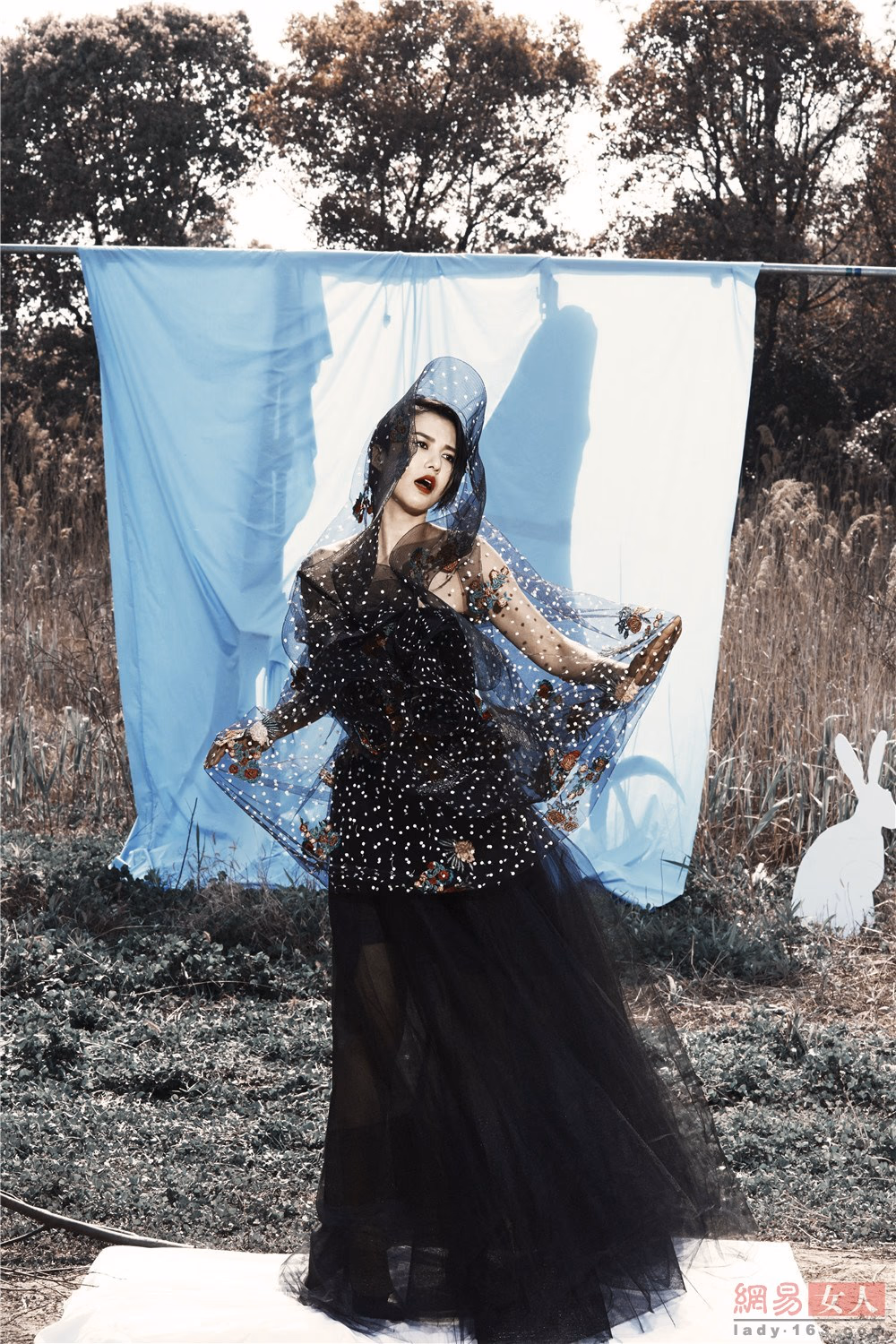 Weiwei Tan HD Images/Photo Gallery Download #3495372