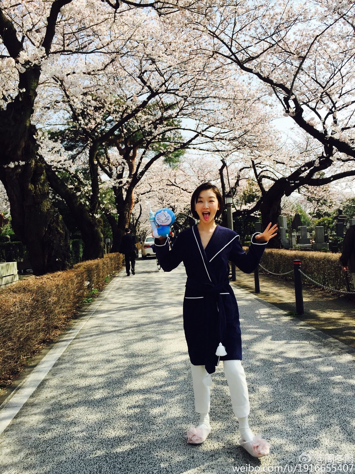 周冬雨 高清写真/照片下载 #1910867