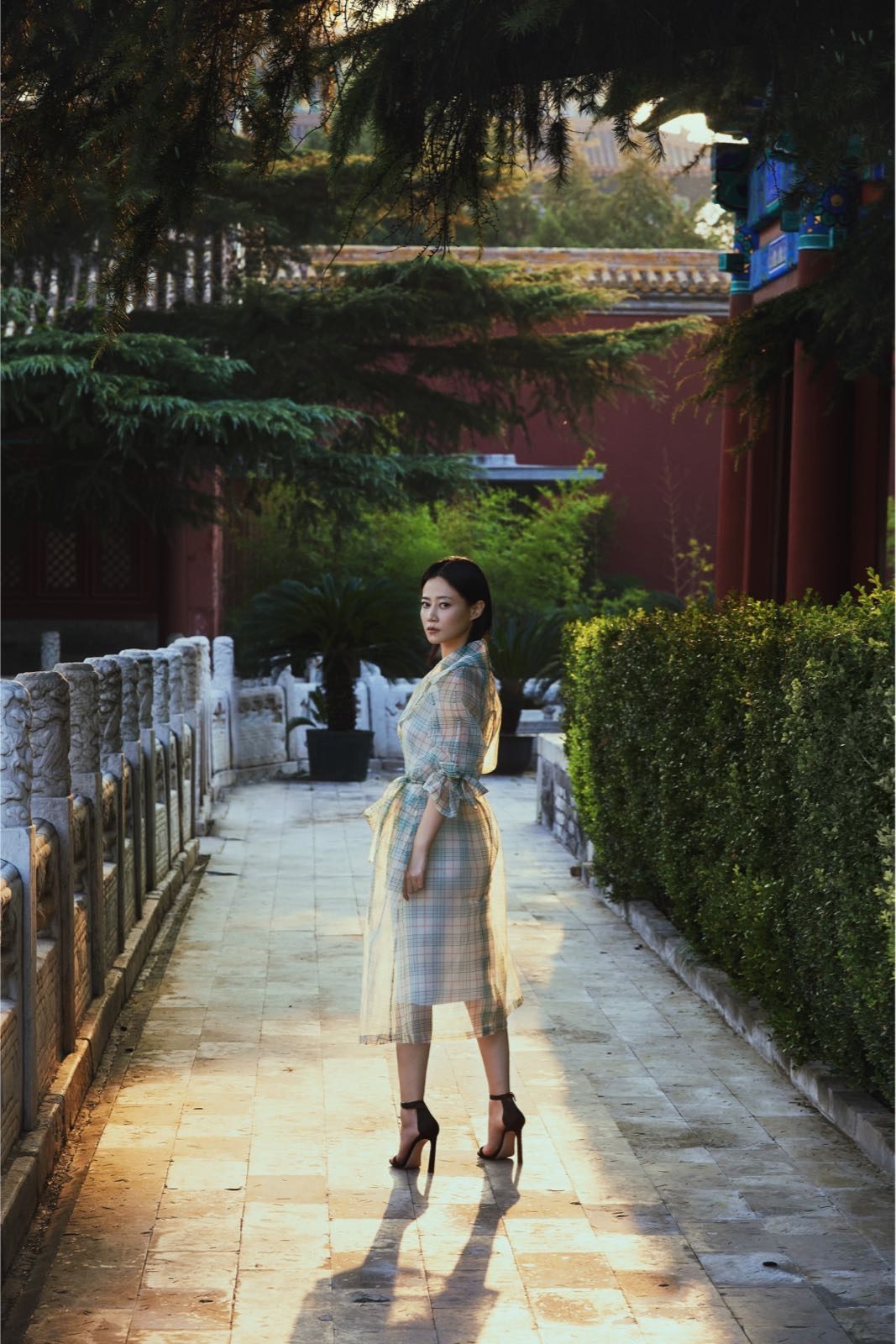 Zhuo Tan HD Images/Photo Gallery Download #1960327