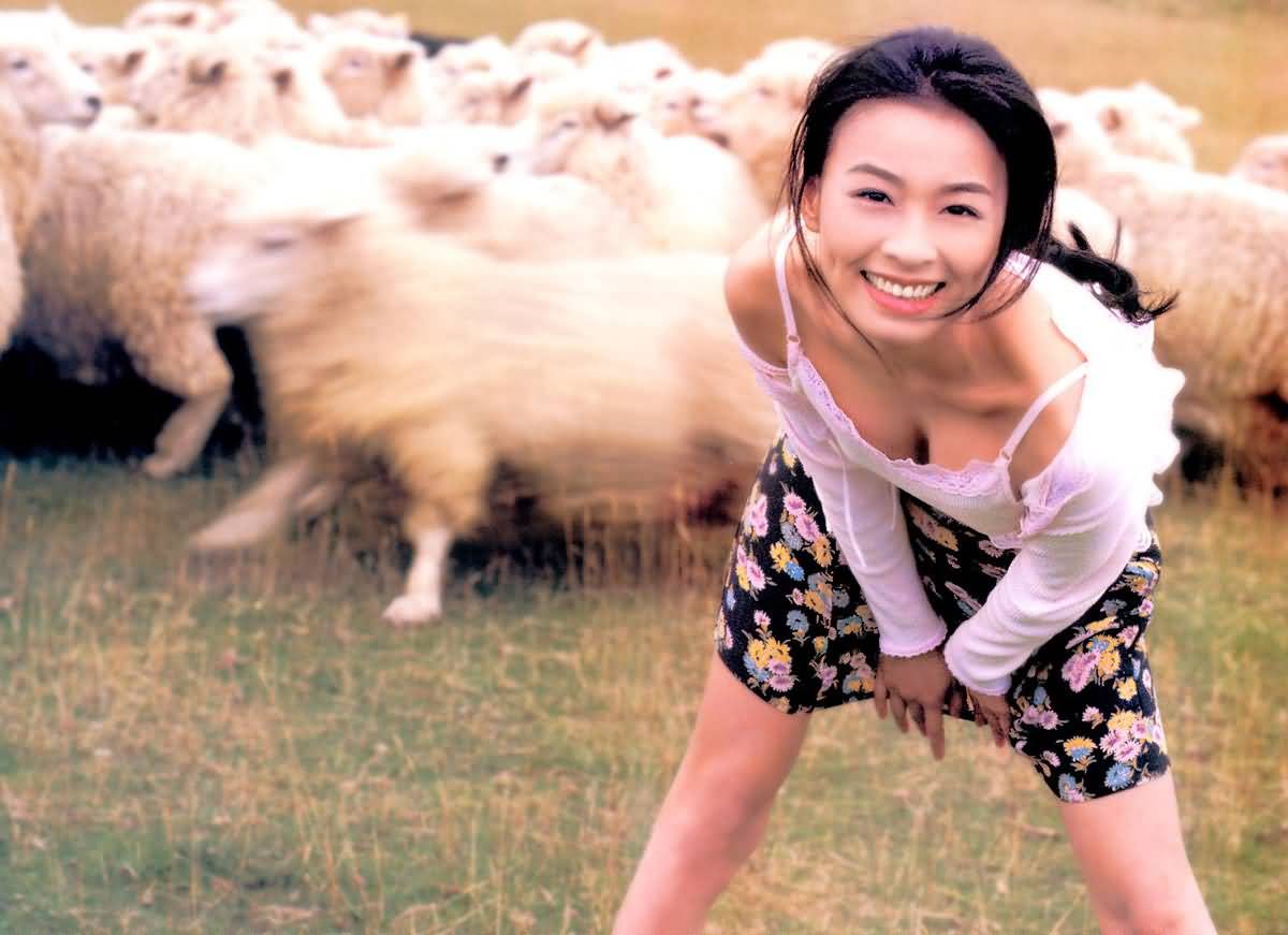 Ting Chang HD Images/Photo Gallery Download #6995489