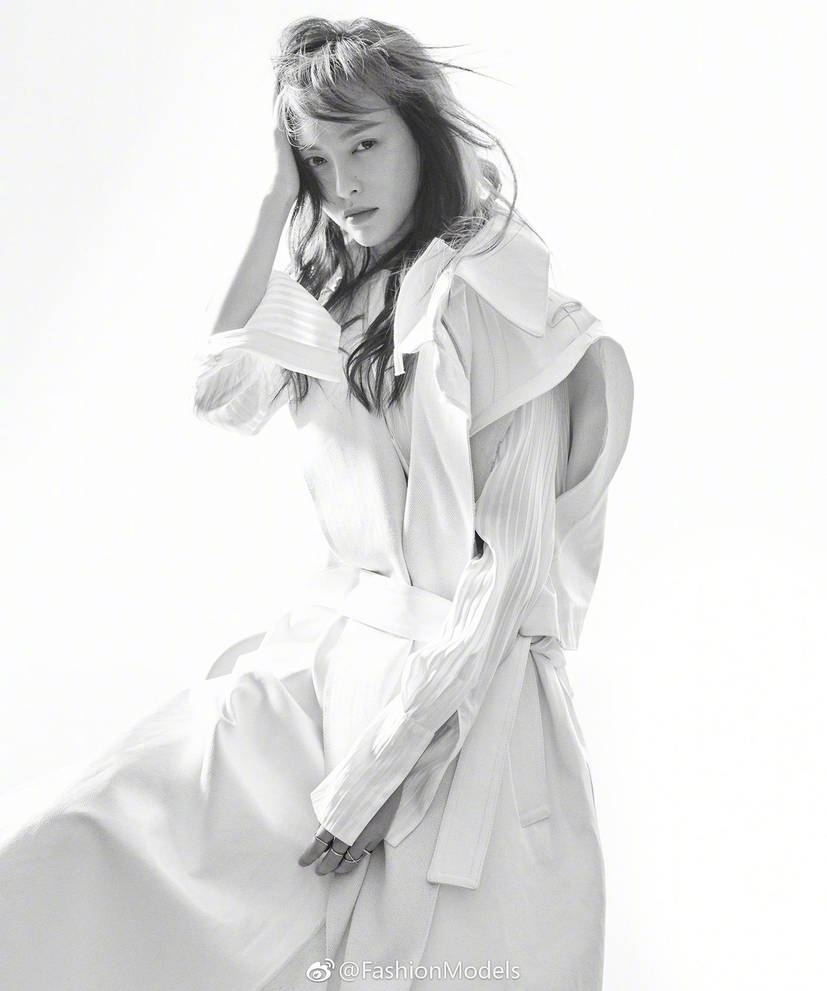 당언 HD 이미지/사진 갤러리 다운로드 #1923447