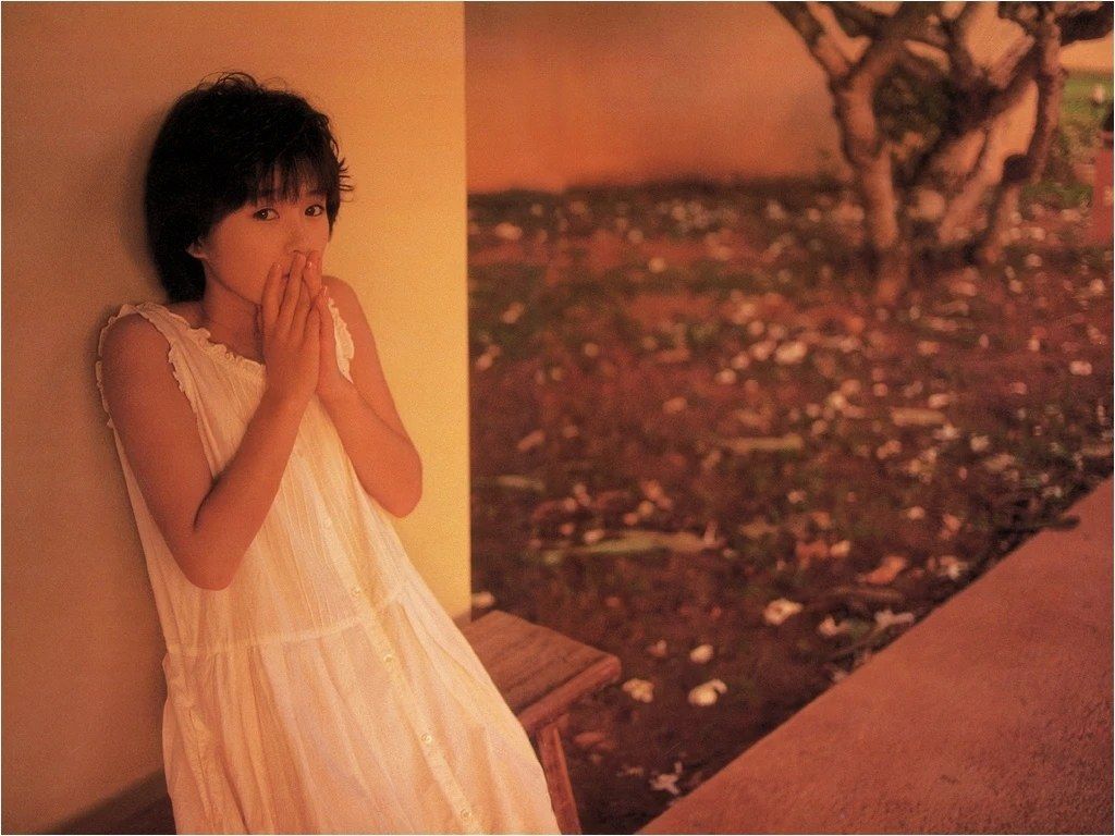 Noriko Sakai HD Images/Photo Gallery Download #8848256