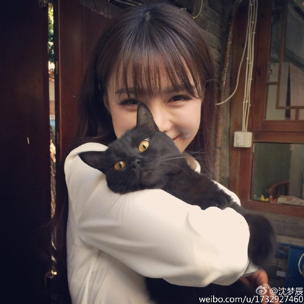 Mengchen Shen HD Images/Photo Gallery Download #6711759