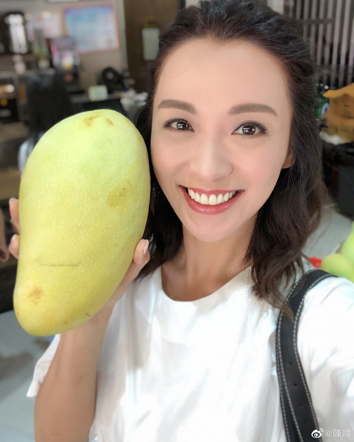 Alice Chan HD Images/Photo Gallery Download #1419242