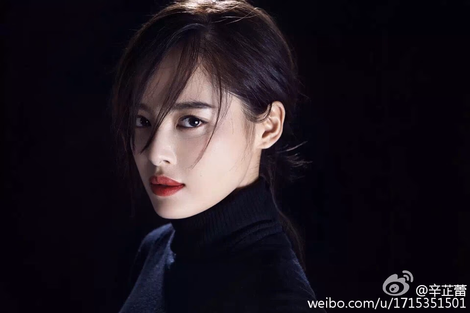 辛芷蕾 高清写真/照片下载 #3511196