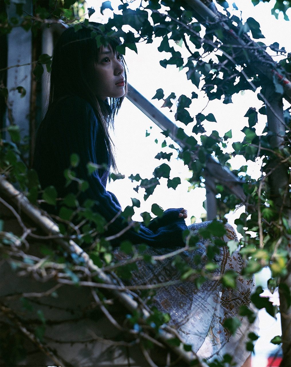 户田惠梨香 高清写真/照片下载 #4078633