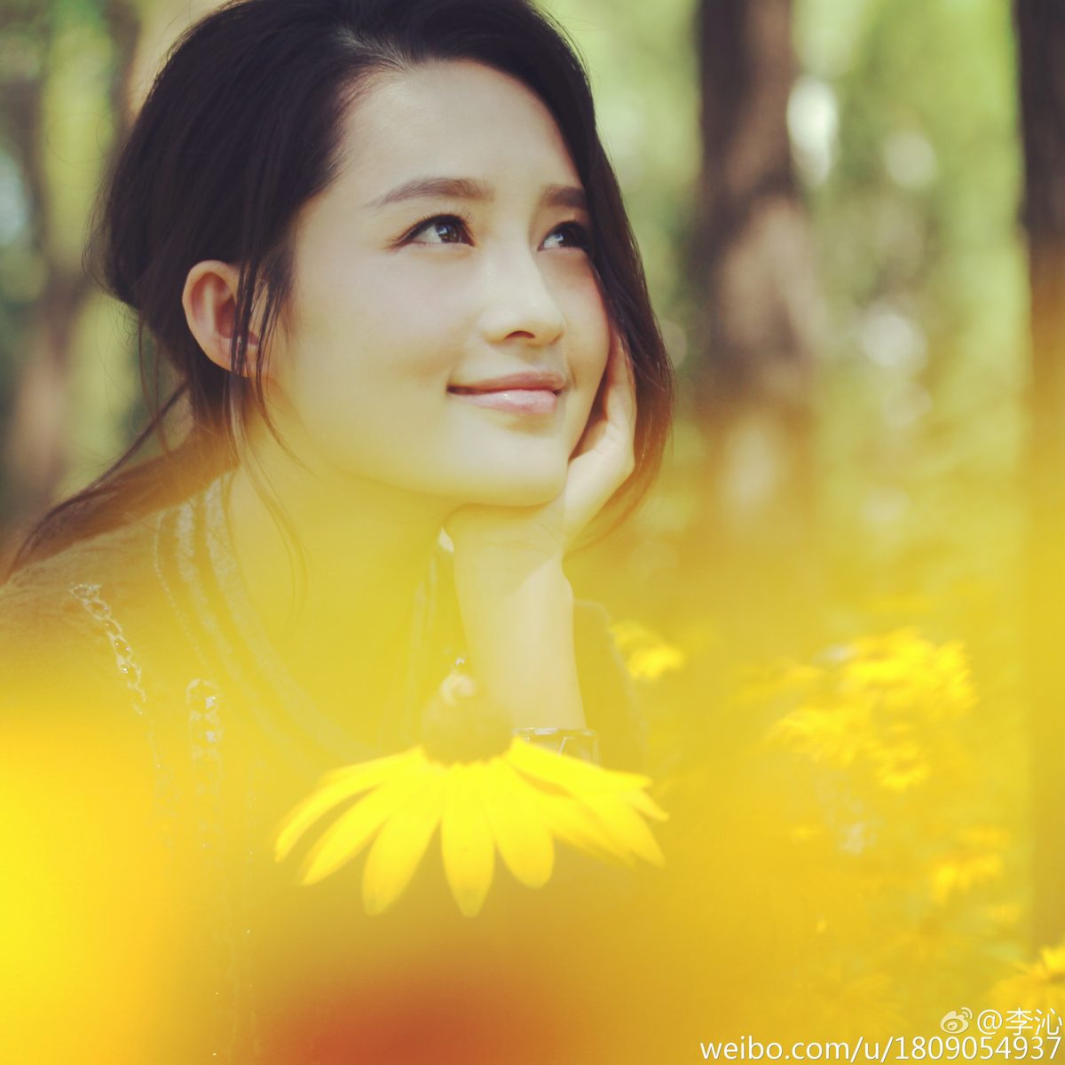 Qin Li HD Images/Photo Gallery Download #6762971