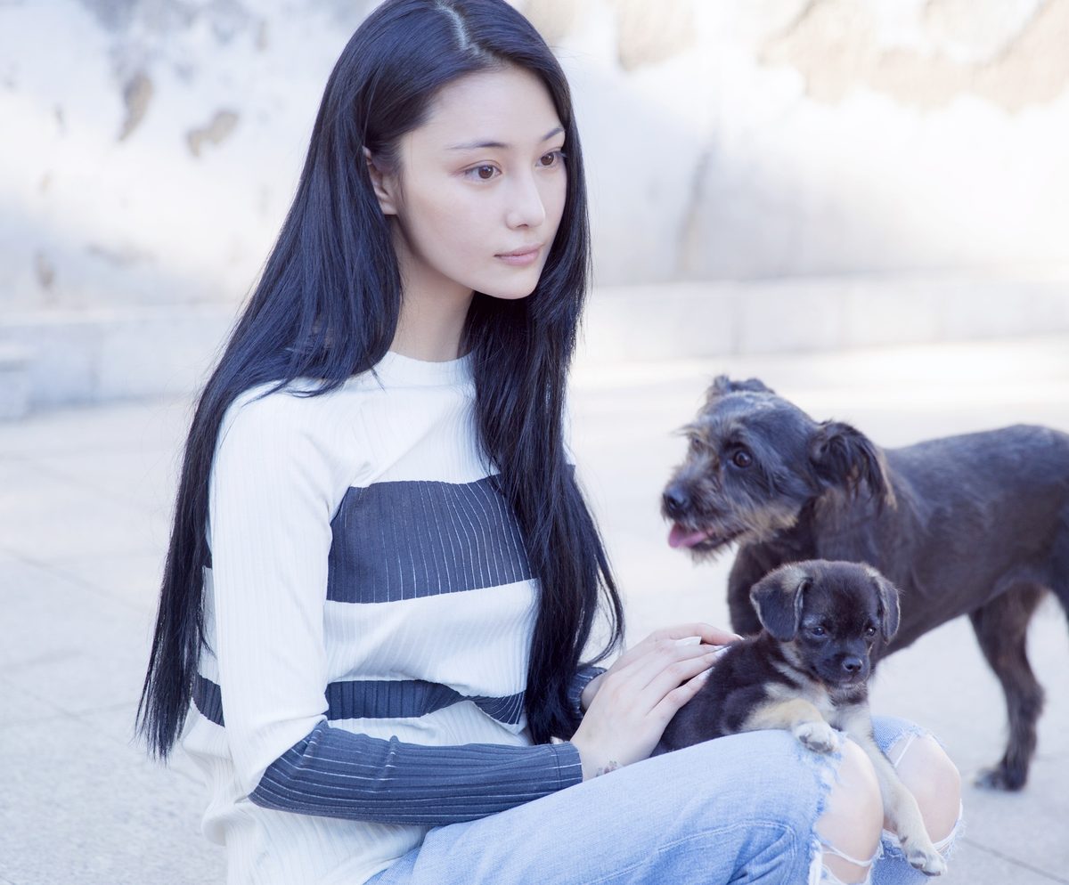 张馨予 高清写真/照片下载 #6637420