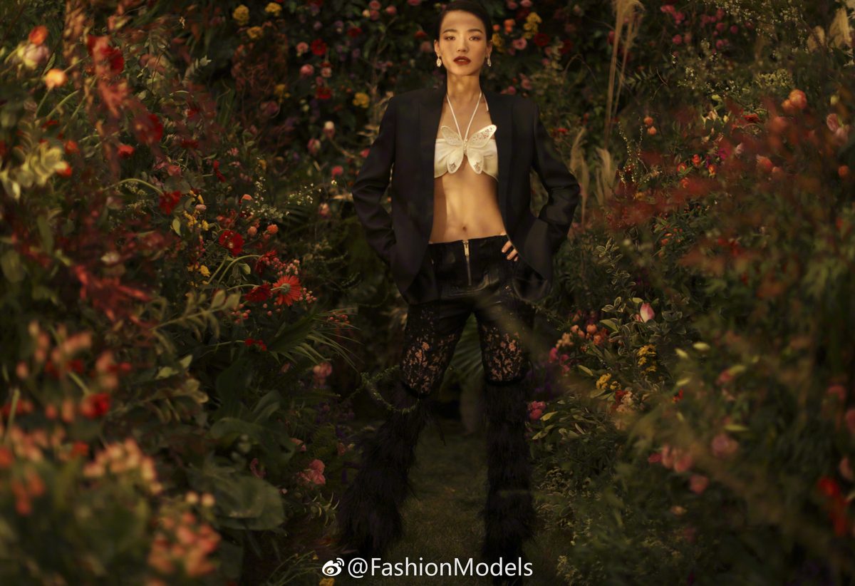 Shu Qi HD Images/Photo Gallery Download #1855709