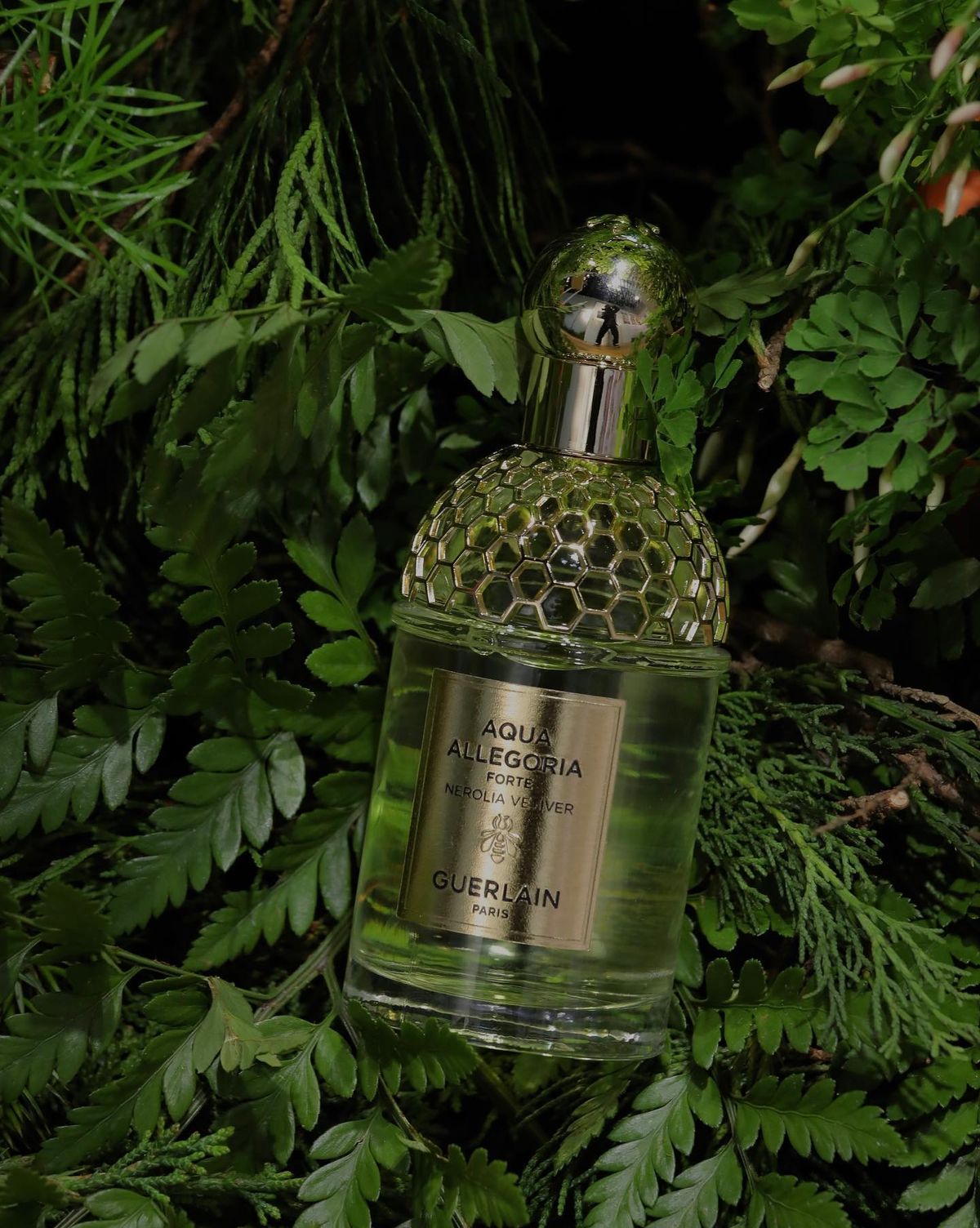 Ayaka Miyoshi HD Images/Photo Gallery Download #8303809