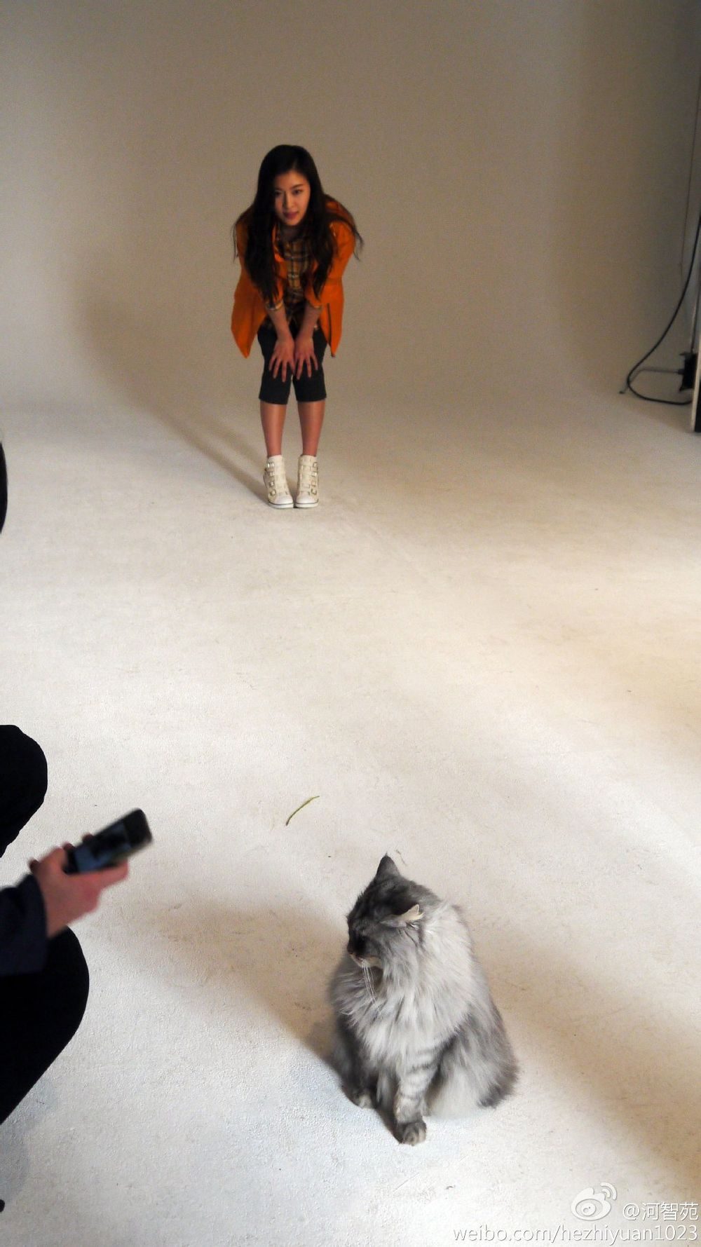 Ha Ji-Won HD Images/Photo Gallery Download #1571947