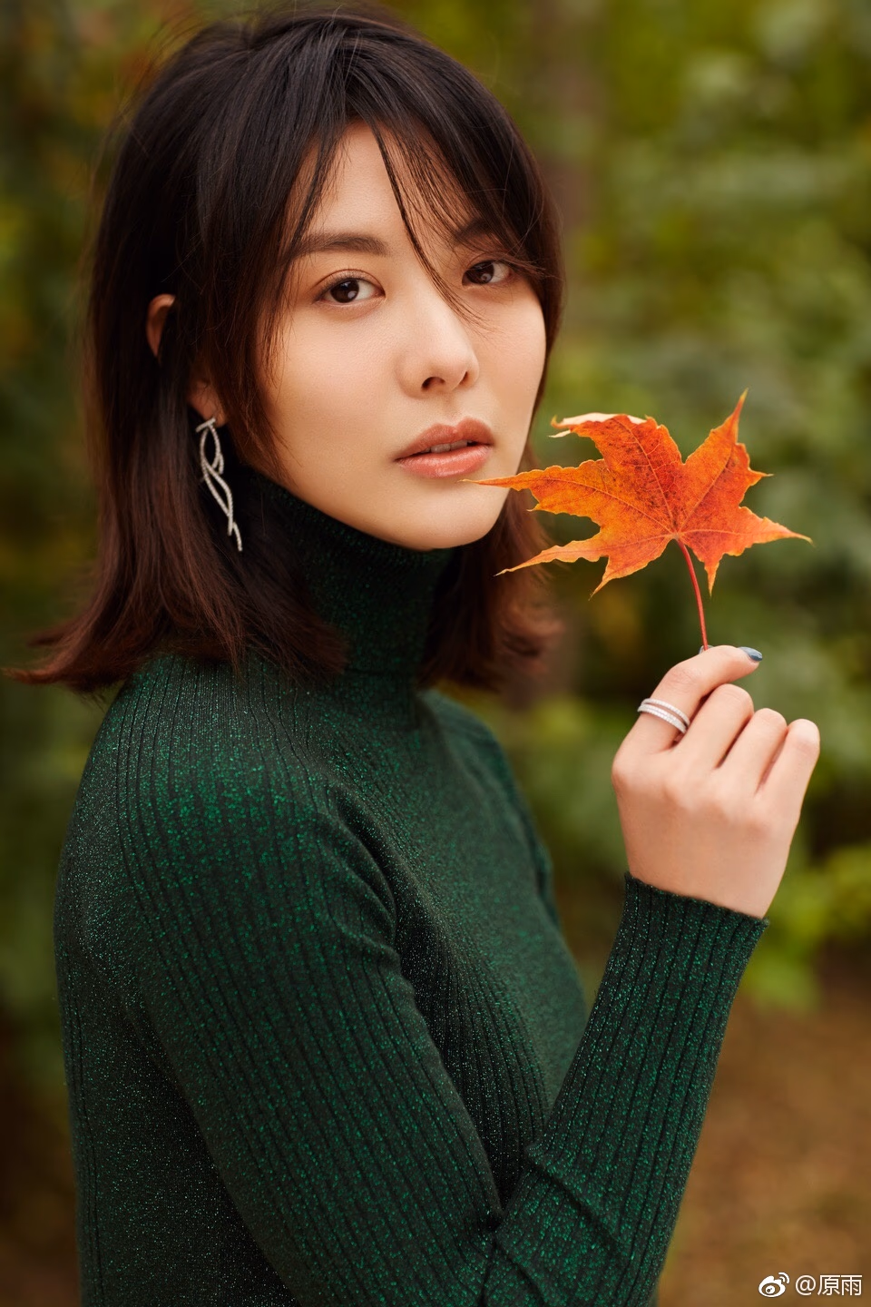 原雨 高清写真/照片下载 #3403713