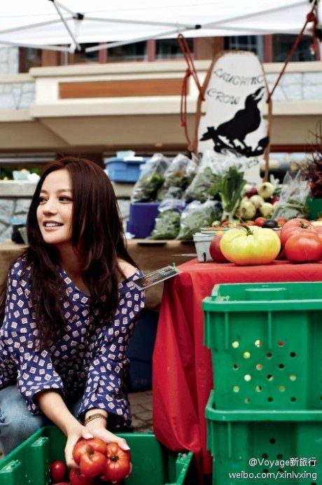 赵薇 高清写真/照片下载 #1561798