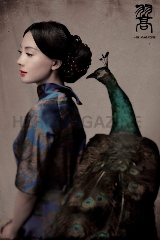 Shu Chen HD Images/Photo Gallery Download #1941118