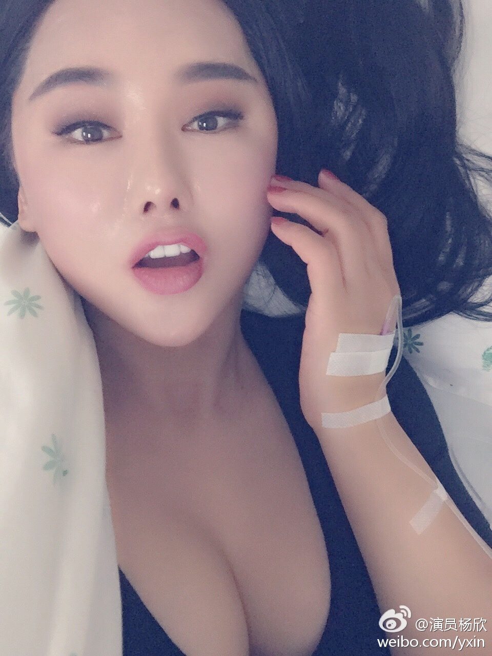 Xin Yang HD画像/フォトギャラリーダウンロード #1550741