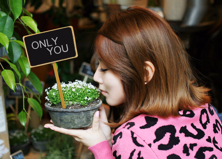 박소연 HD 이미지/사진 갤러리 다운로드 #3374228