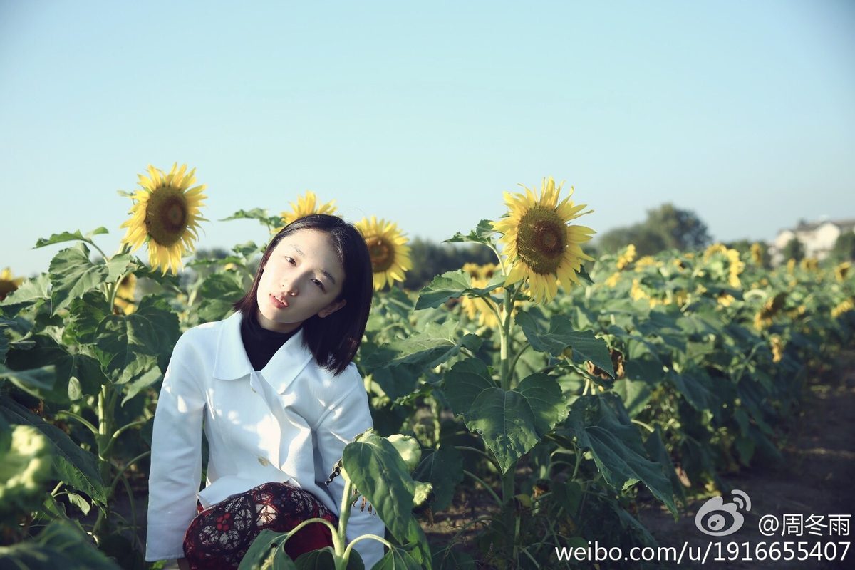 Dongyu Zhou HD Images/Photo Gallery Download #1908768