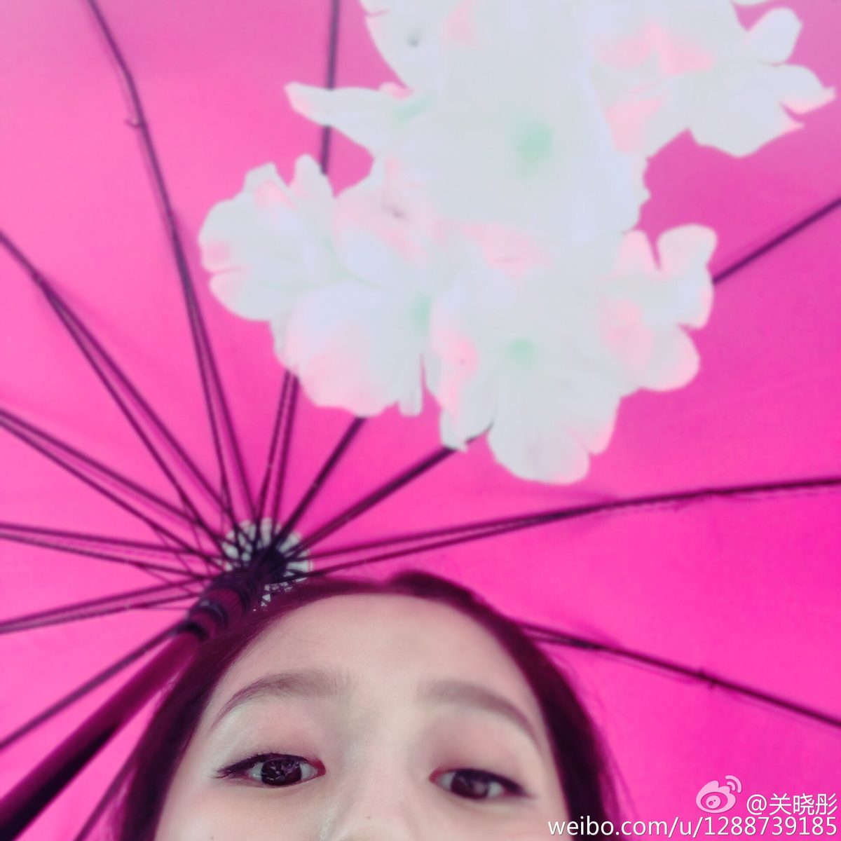 관효동 HD 이미지/사진 갤러리 다운로드 #7041911