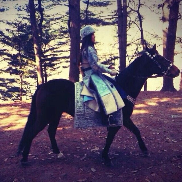 河智苑 高清写真/照片下载 #1571829