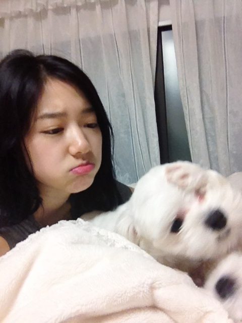 Shin-hye Park HD Images/Photo Gallery Download #1817598