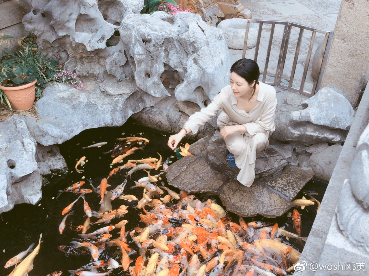 邓英 高清写真/照片下载 #3249840