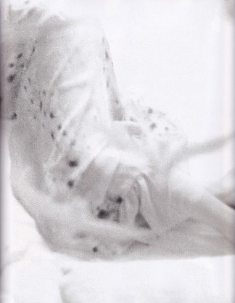 新垣结衣 高清写真/照片下载 #801619