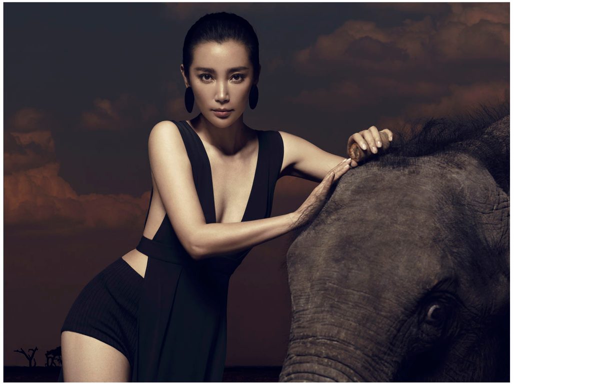 Bingbing Li HD Images/Photo Gallery Download #1402282