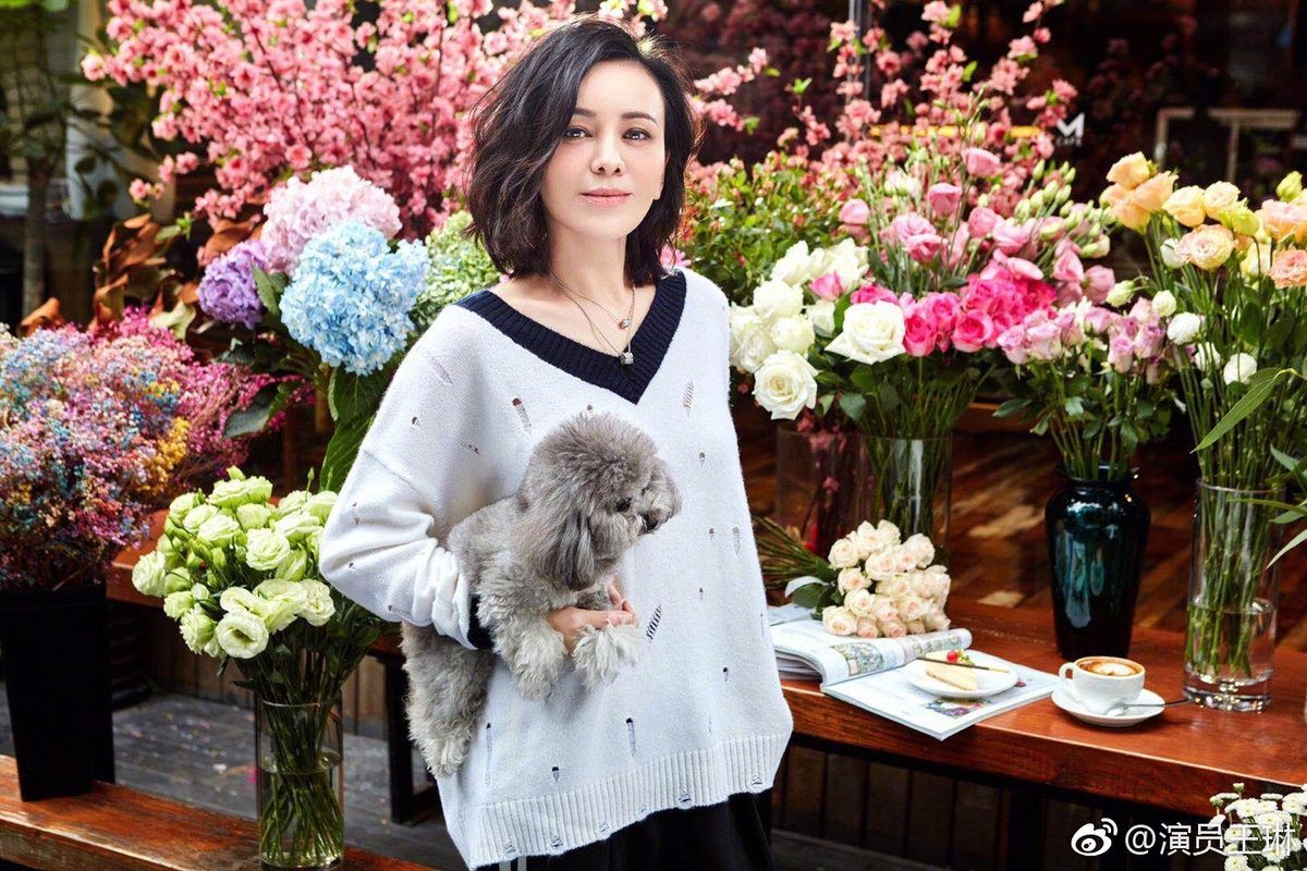 Lin Wang HD Images/Photo Gallery Download #6779237